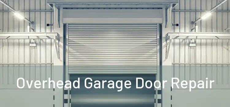  Overhead Garage Door Repair 